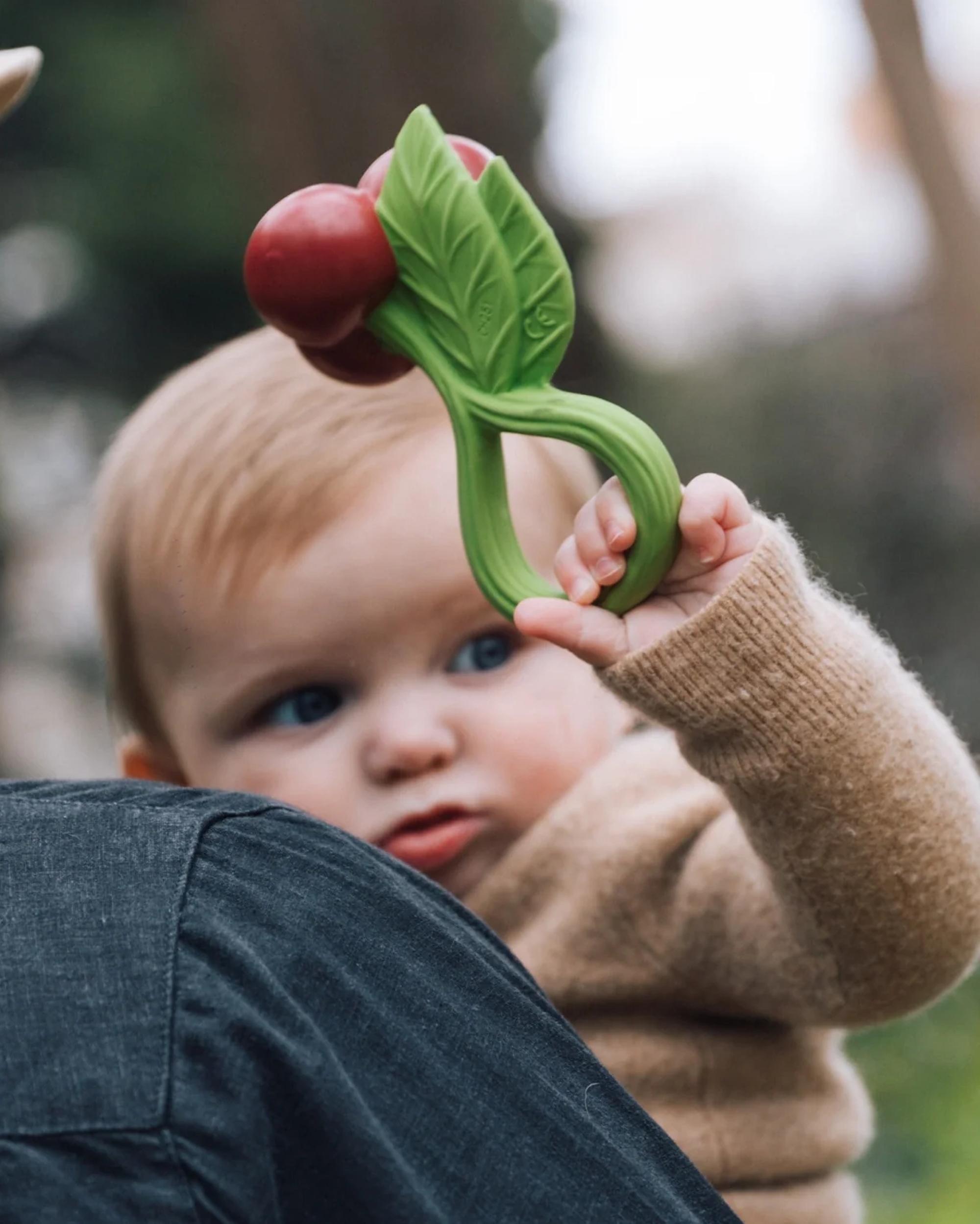 Cherry Rattle Toy